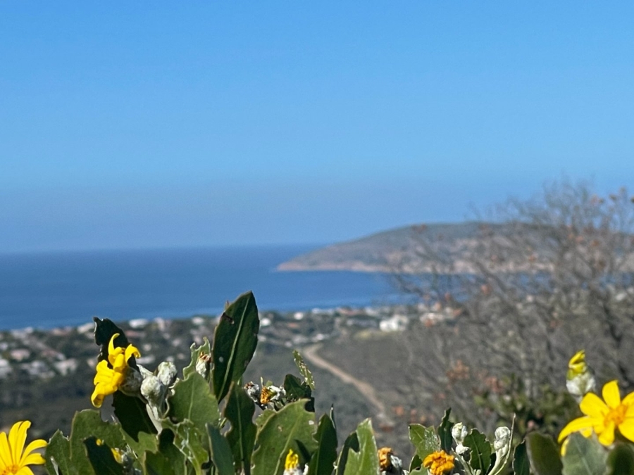  Bedroom Property for Sale in Schoongezicht Western Cape